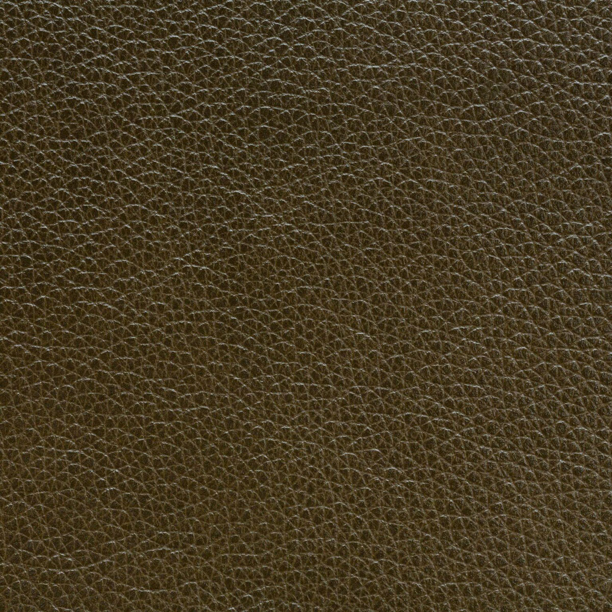 Coraggio Leather | Coraggio